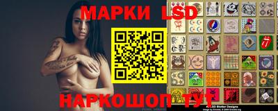 шишки Обь