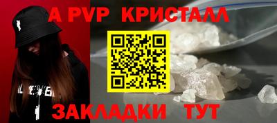 шишки Обь