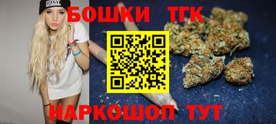 шишки Обь