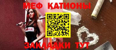 шишки Обь