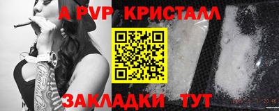 шишки Обь