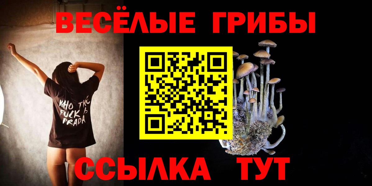 Псилоцибиновые грибы Magic Shrooms Свободный