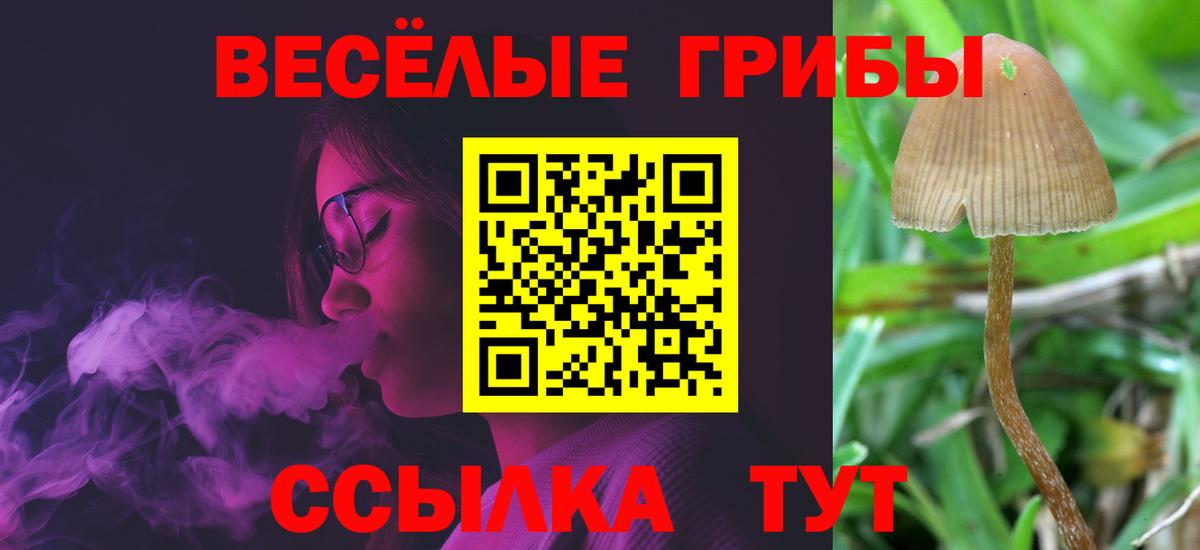 Свободный  Псилоцибиновые грибы Cubensis  Вход с VPN 